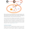 Nanotechnology for Drug Delivery and Pharmaceuticals 2023