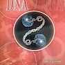 اصول توالی یابی DNA