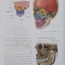 آناتومی گری برای دانشجویان 2024 سر و گردن جلد سوم