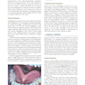 Oral and Maxillofacial Pathology 5th Edicion 2024