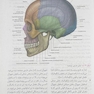 آناتومی گری برای دانشجویان سر و گردن جلد سوم 2024