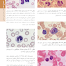 اصول طب داخلی هاریسون 2022 هماتولوژی