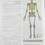 آناتومی گری برای دانشجویان تنه جلد اول 2024