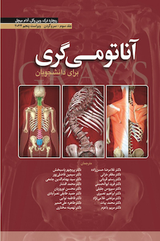 آناتومی گری برای دانشجویان سر و گردن جلد سوم  2024