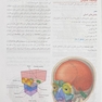 آناتومی گری برای دانشجویان سر و گردن جلد سوم  2024