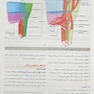 آناتومی گری برای دانشجویان سر و گردن جلد سوم  2024