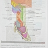 آناتومی گری برای دانشجویان سر و گردن جلد سوم  2024