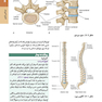 اصول طب داخلی هاریسون 2020 بیماری های روماتولوژی و دستگاه ایمنی