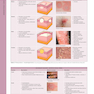 Dermatology, 5th Edition 2025