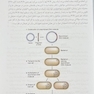 کلون سازی ژن و آنالیز DNA (ویرایش هشتم) 2021