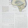 ترجمه اصول نورولوژی آدامز 2023 - جلد سوم فصل 29 تا 35