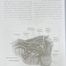 خلاصه جراحی ژنیکولوژی تلیندز 2024