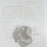 خلاصه جراحی ژنیکولوژی تلیندز 2024