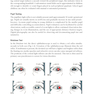 2024-2025 Basic and Clinical Science Course, Section 6: Pediatric Ophthalmology and Strabismus