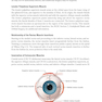 2024-2025 Basic and Clinical Science Course, Section 6: Pediatric Ophthalmology and Strabismus