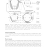 2024-2025 Basic and Clinical Science Course, Section 6: Pediatric Ophthalmology and Strabismus