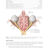 2024-2025 Basic and Clinical Science Course, Section 7: Oculofacial Plastic and Orbital Surgery