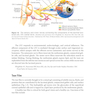 2024-2025 Basic and Clinical Science Course, Section 8: External Disease and Cornea