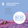 2024-2025 Basic and Clinical Science Course, Section 9: Uveitis and Ocular Inflammation