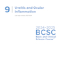 2024-2025 Basic and Clinical Science Course, Section 9: Uveitis and Ocular Inflammation