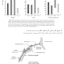 مجموعه سوالات آزمون دستیاری دندانپزشکی 1402