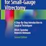 Practical Handbook for Small-Gauge Vitrectomy: A Step-By-Step Introduction to Surgical Techniques 2nd ed. 2018 Edition