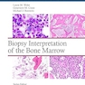 Biopsy Interpretation of the Bone Marrow First Edition