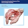 The Grasping Hand: Structural and Functional Anatomy of the Hand and Upper Extremity 1st Edition