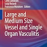 Large and Medium Size Vessel and Single Organ Vasculitis (Rare Diseases of the Immune System) 1st ed