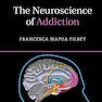 The Neuroscience of Addiction (Cambridge Fundamentals of Neuroscience in Psychology)