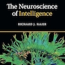 The Neuroscience of Intelligence (Cambridge Fundamentals of Neuroscience in Psychology) 2nd Edition