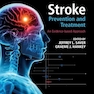 Stroke Prevention and Treatment: An Evidence-based Approach 2nd Edition