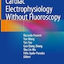 Cardiac Electrophysiology Without Fluoroscopy 1st ed