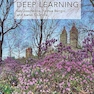 Deep Learning (Adaptive Computation and Machine Learning series)