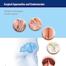 The Frontal Sinus: Surgical Approaches and Controversies 1st Edition