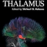 The Thalamus