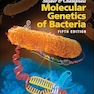 Snyder and Champness Molecular Genetics of Bacteria (ASM Books) 5th Edition