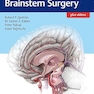 Color Atlas of Brainstem Surgery 1st Edition