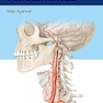 Neurosurgery Fundamentals 1st Edition