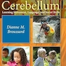 The Cerebellum: Learning Movement, Language, and Social Skills 1st Edition