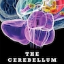 The Cerebellum: Brain for an Implicit Self 1st Edition