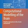 Computational Modelling of the Brain: Modelling Approaches to Cells, Circuits and Networks (Advances in Experimental Medicine and Biology, 1359)