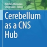 Cerebellum as a CNS Hub (Contemporary Clinical Neuroscience) 1st ed