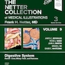 The Netter Collection of Medical Illustrations: Digestive System, Volume 9