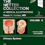 The Netter Collection of Medical Illustrations: Urinary System, Volume 5  3rd Edition