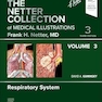 The Netter Collection of Medical Illustrations: Respiratory System, Volume 3