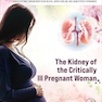 The Kidney of the Critically Ill Pregnant Woman (Critical Care in Obstetrics) 1st Edition