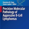 Precision Molecular Pathology of Aggressive B-Cell Lymphomas (Molecular Pathology Library) 2023rd Edition