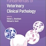 Fundamentals of Veterinary Clinical Pathology 3rd Edition