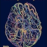 Neurological and Neurosurgical Emergencies 1st Edition